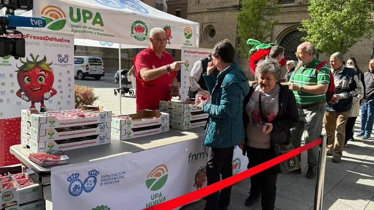 Reparto de fresas de Huelva en Zaragoza