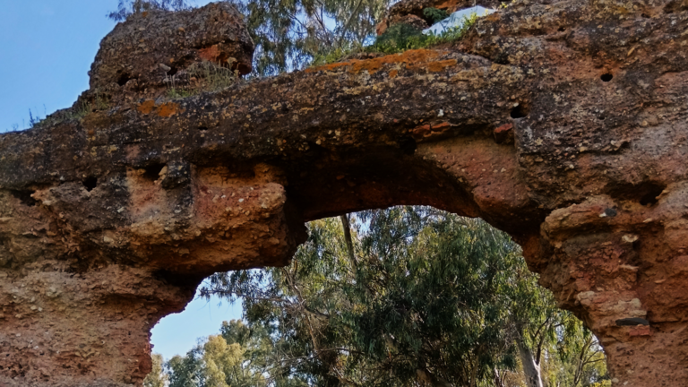 Im&aacute;genes mostradas por Andaluc&iacute;a x s&iacute;.