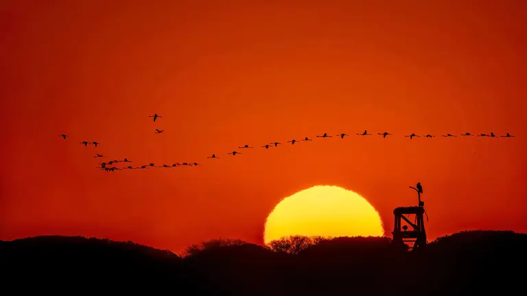 segundo premio -  atardecer en marismas - antonio aguilera silva