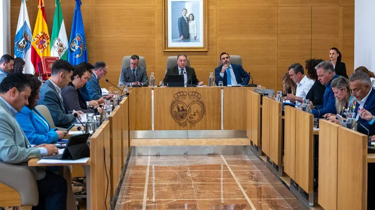 Pleno de la Diputaci&oacute;n