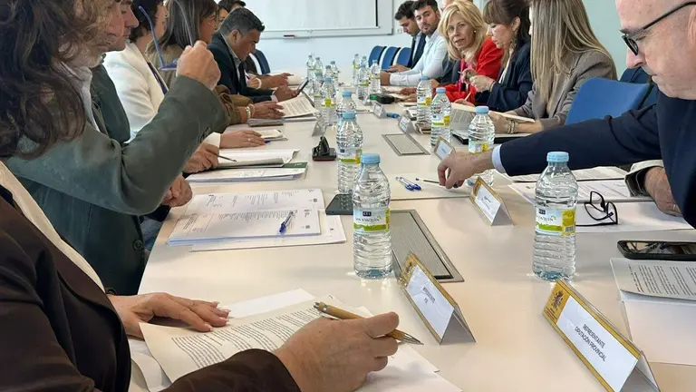 Comisi&oacute;n PFEA 2026.