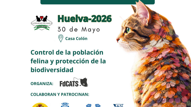 Jornadas felinas