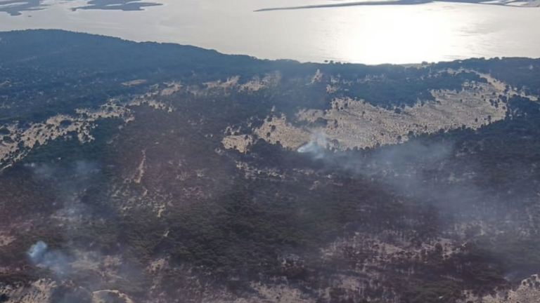 Incendio en el entorno de Do&ntilde;ana.