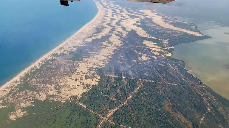 Incendio en Do&ntilde;ana.