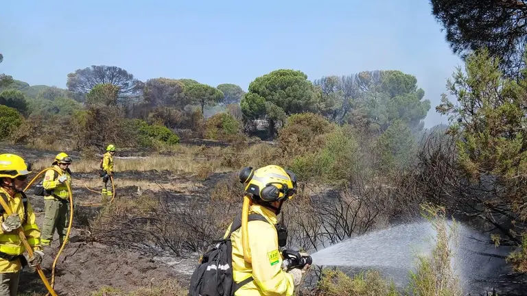 Miembros del Infoca en el incendio de Almonte.