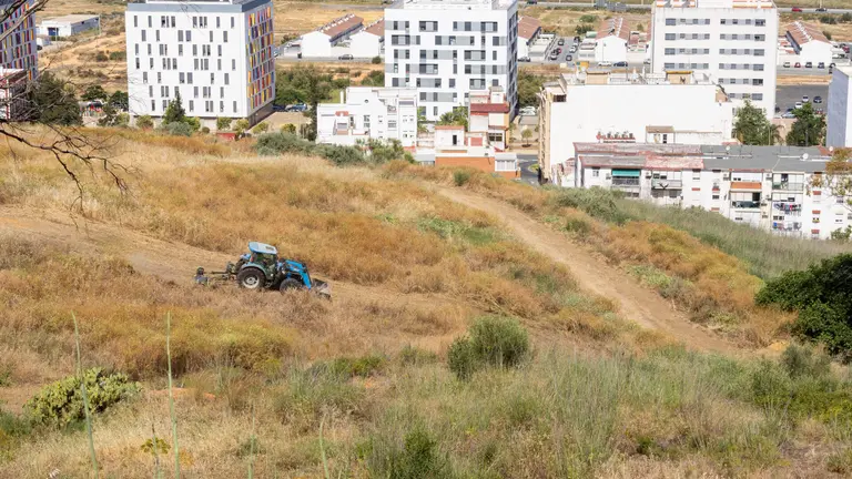 Huelva tiene ejecutado ya el 80% del dispositivo municipal de desbroce para prevenir incendios