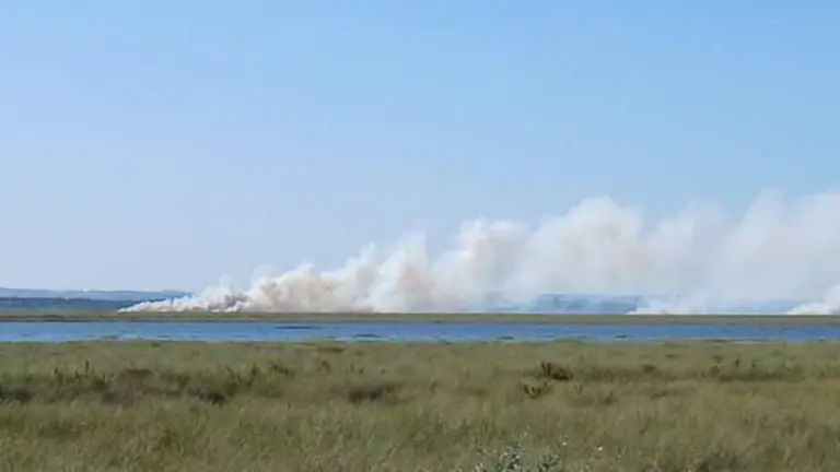 Incendio en Marismas del Burro.