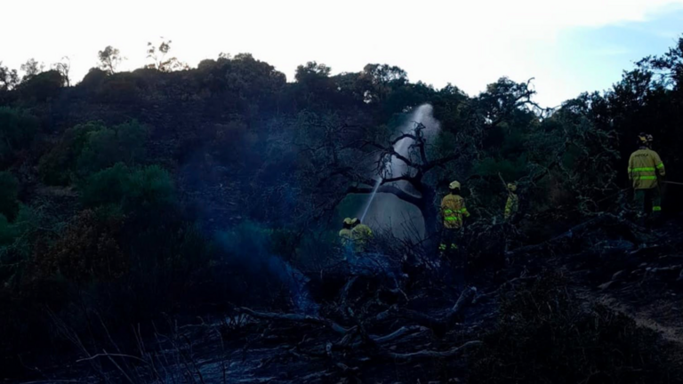 Incendio Alosno.