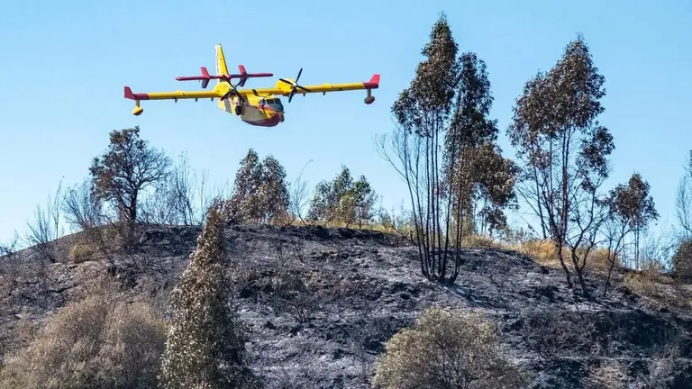 Una aeronave en las labores de extinci&oacute;n.