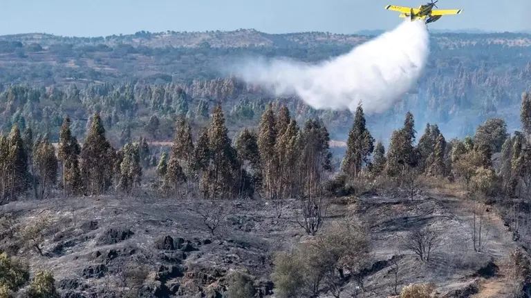 Incendio
