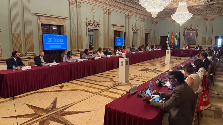 Pleno de junio
