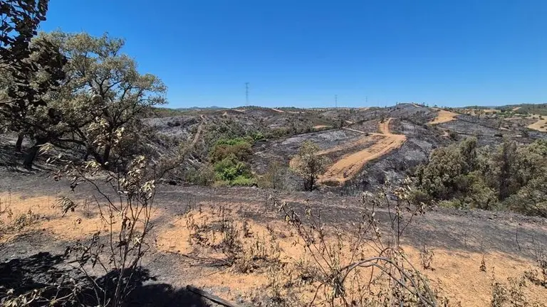 Incendio forestal de Villanueva de los Castillejos