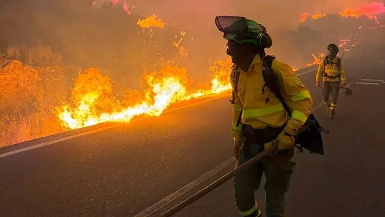 Incendio en Los Gallardos / Fotograf&iacute;a: INFOCA