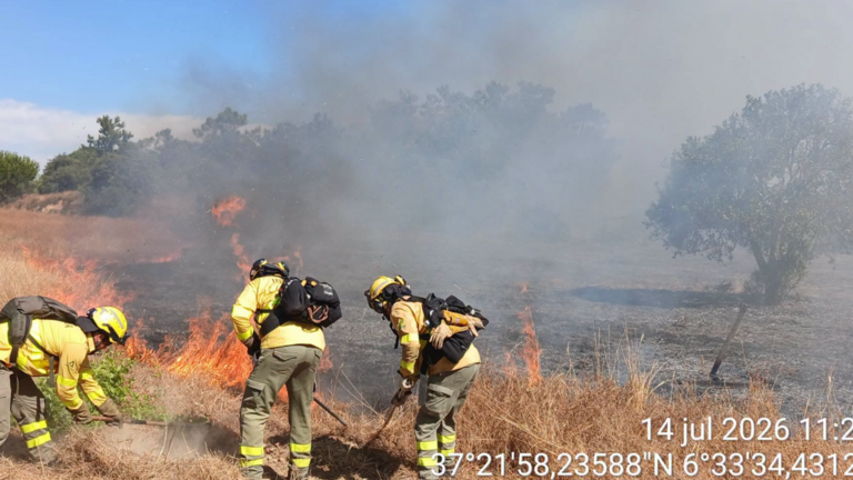 Incendio en La Palma.
