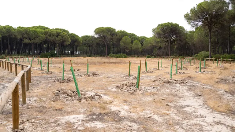Inauguraci&oacute;n lagunas