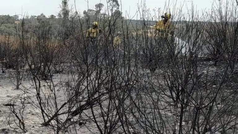 Incendio de El Cerro de And&eacute;valo