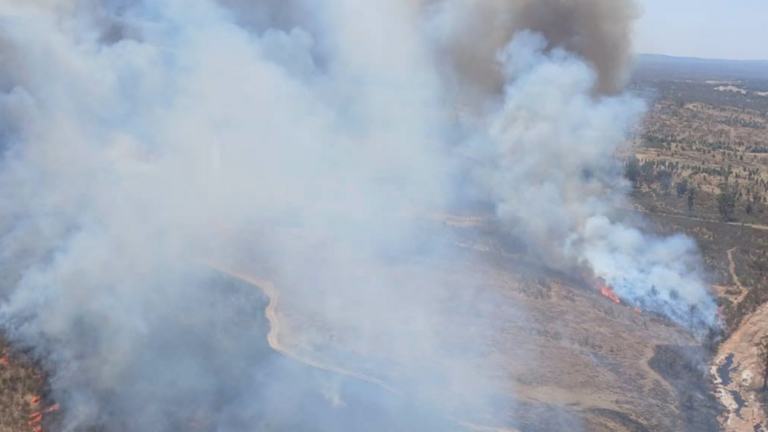 Incendio en Alosno.