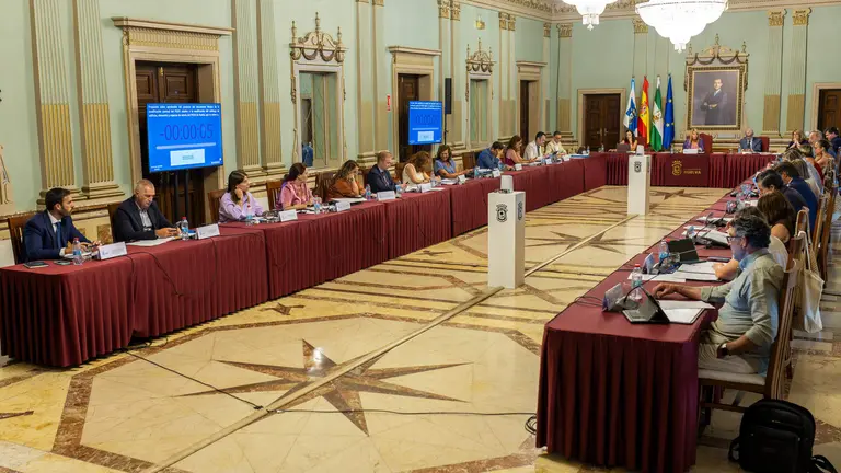 PLENO_JULIO