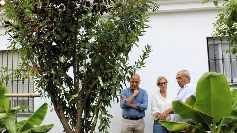 Aljaraque alberga el &aacute;rbol frutal con m&aacute;s especies y variedades del mundo