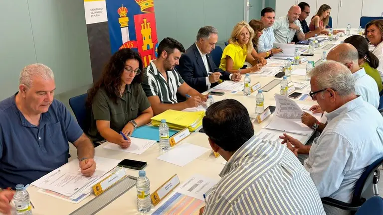 Comisi&oacute;n PFEA.