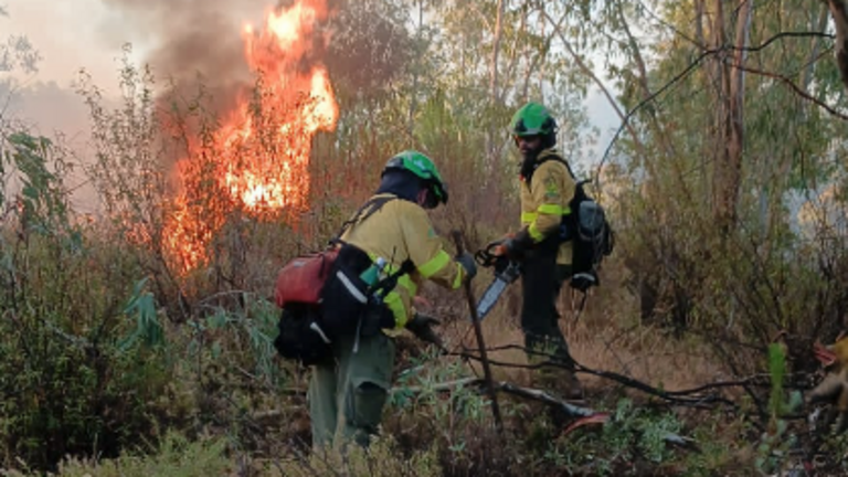Bomberos trabajando durante el incendio