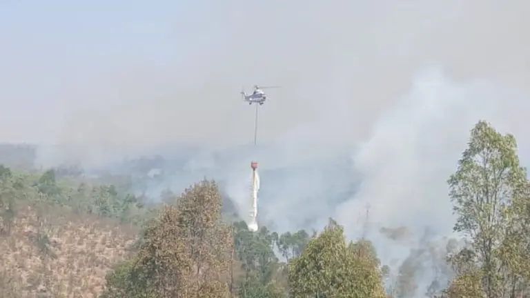 Incendio en Niebla