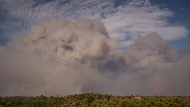 Incendio de Niebla.