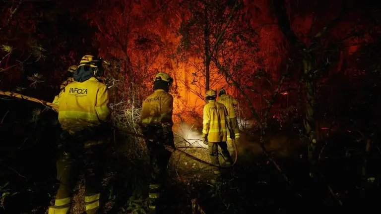 Incendio de Niebla.