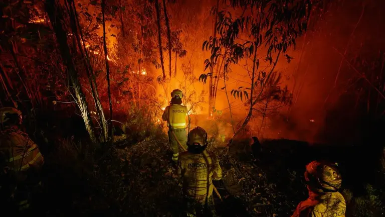 Incendio de Niebla.