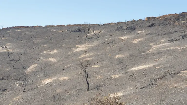 Imagen de todo lo devastado en Berrocal.