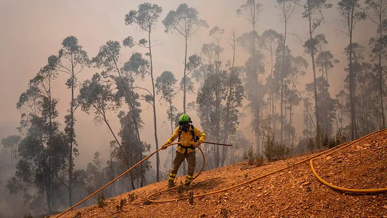 Incendio de Niebla.