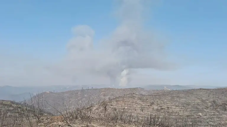 Incendio de Niebla.