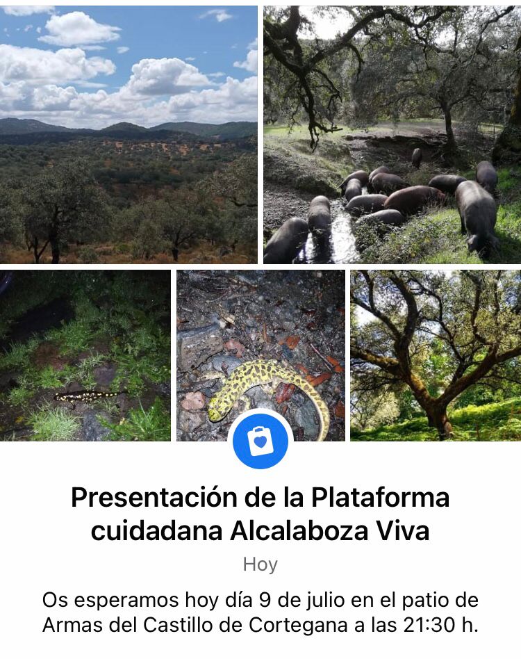 Convocatoria de la Plataforma ciudadana.