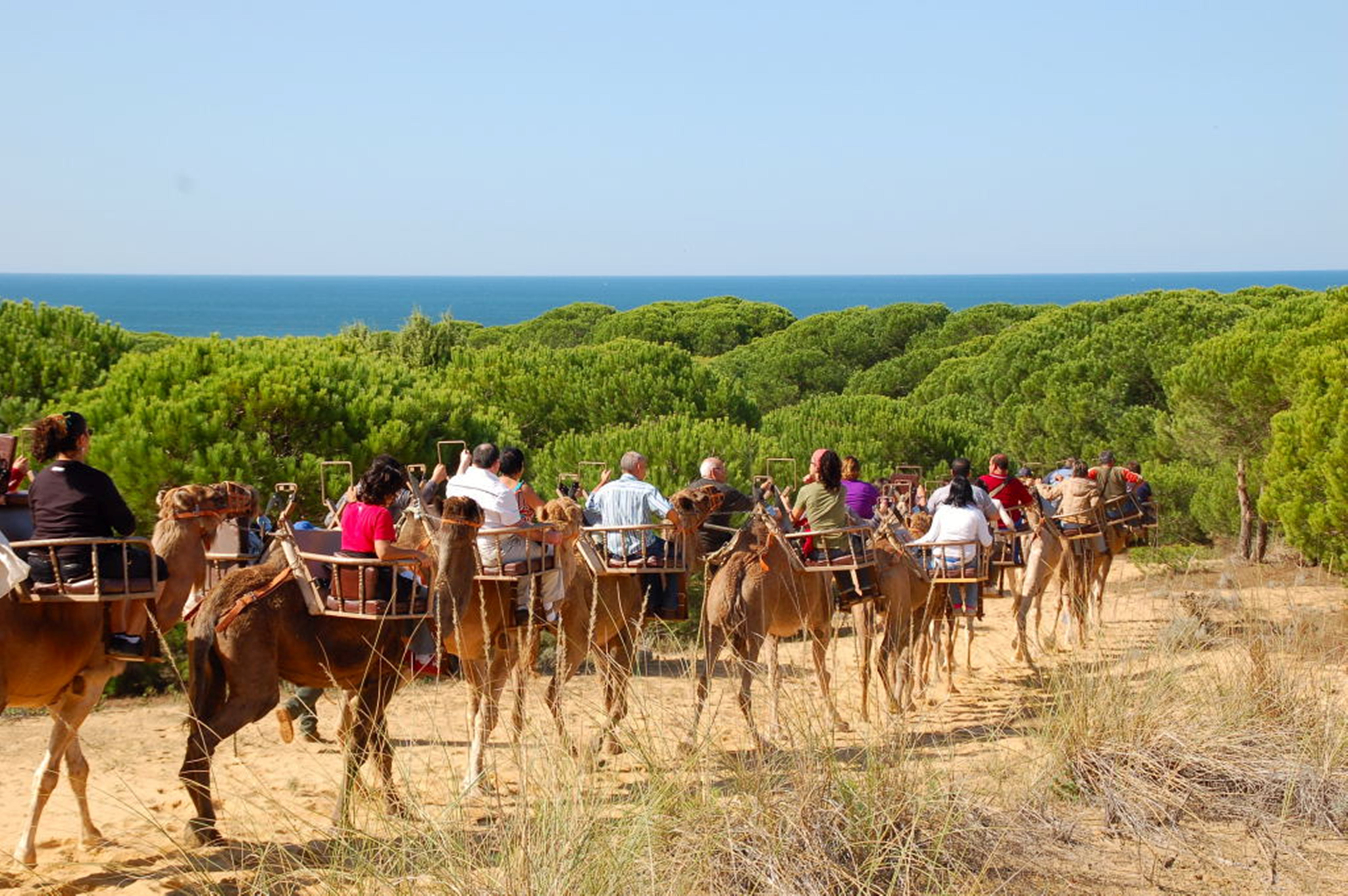 DOÑANA AIRES AFRICANOS (1)