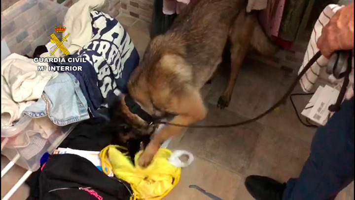 Registro con perros anti-droga.