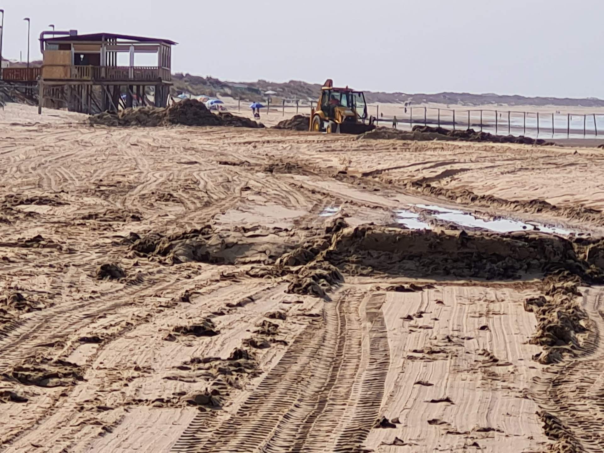 Matalascañas eliminación de algas