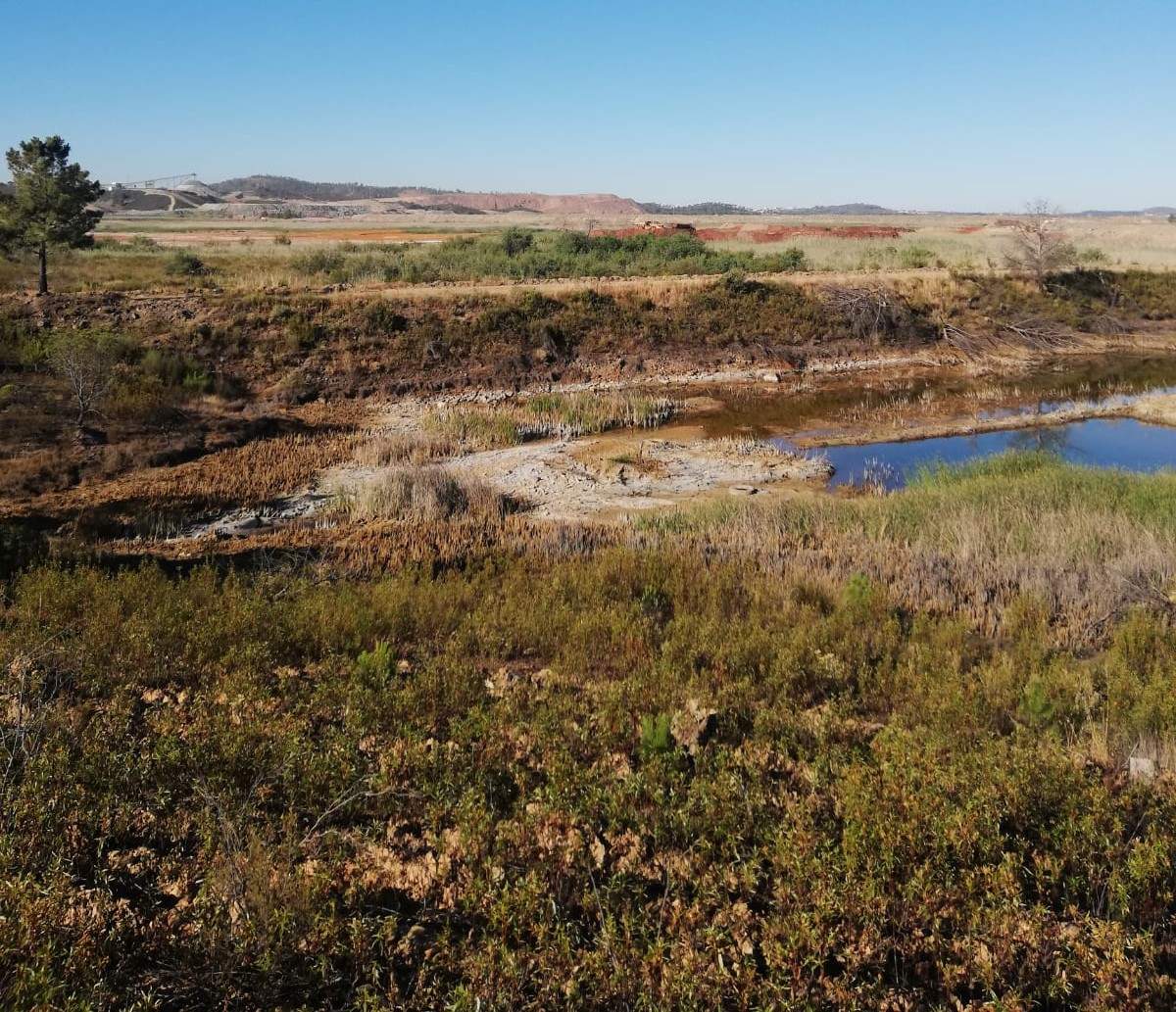 Zona de tierras mineras objeto de los permisos de la Junta y las preguntas Ecologistas