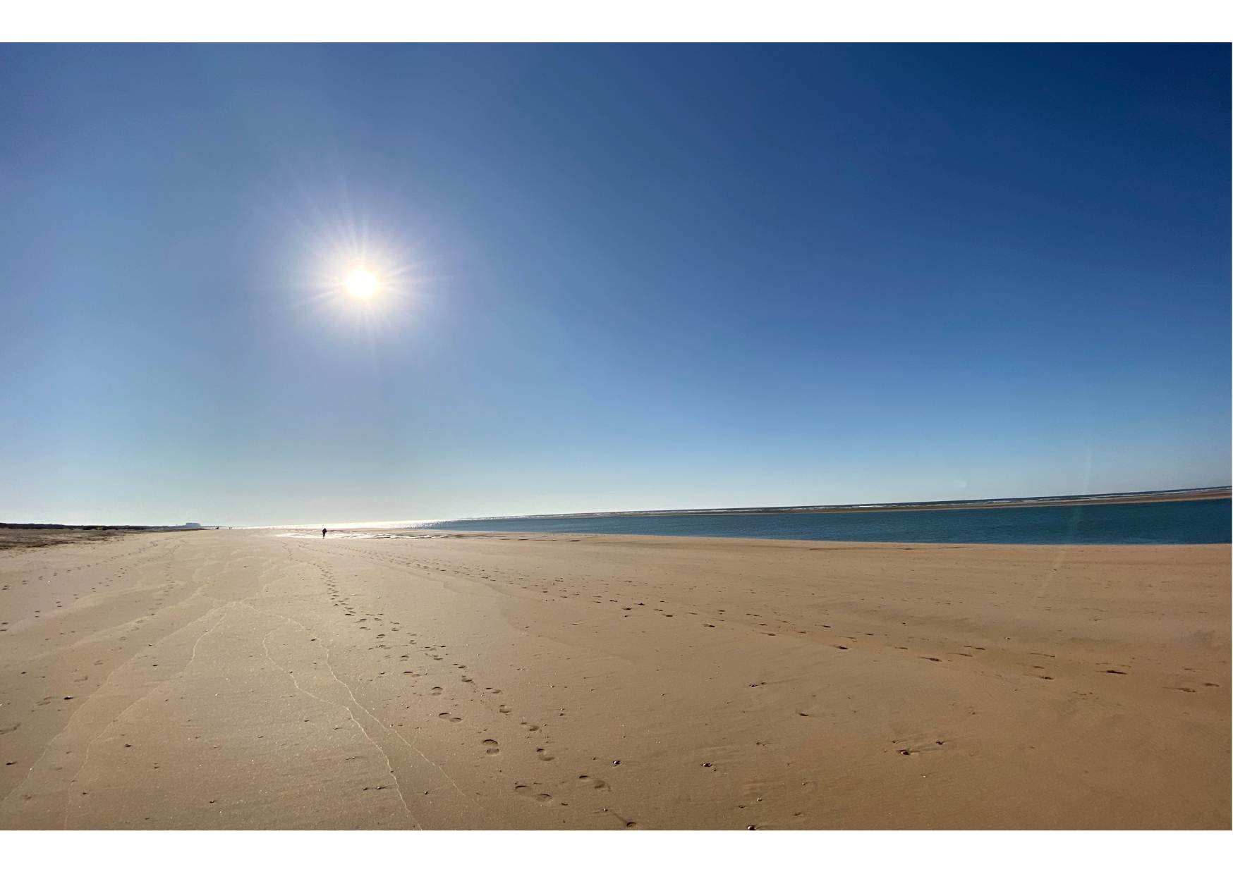 El Portil | Pablo Guiroy Canva