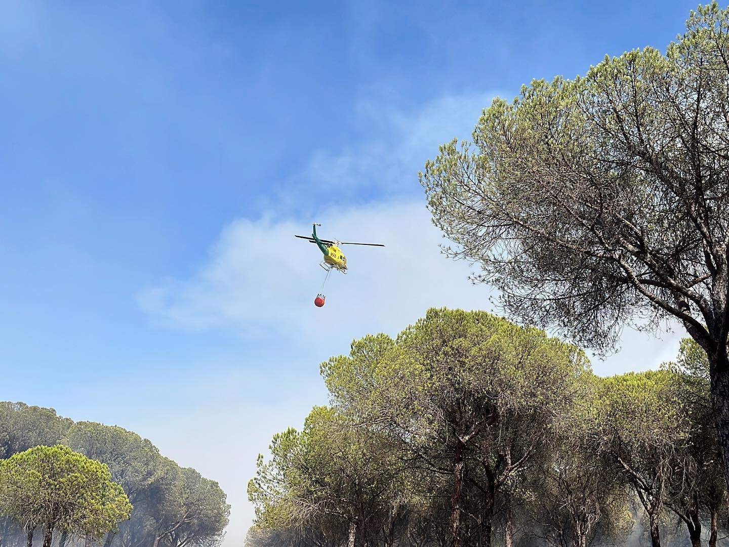 Medios aéreos luchando contra el fuego