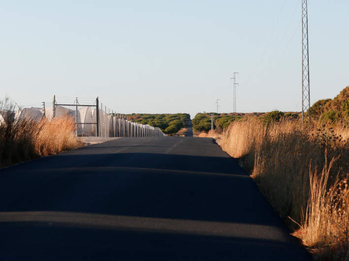 Camino asfaltado con pasto seco en las márgenes