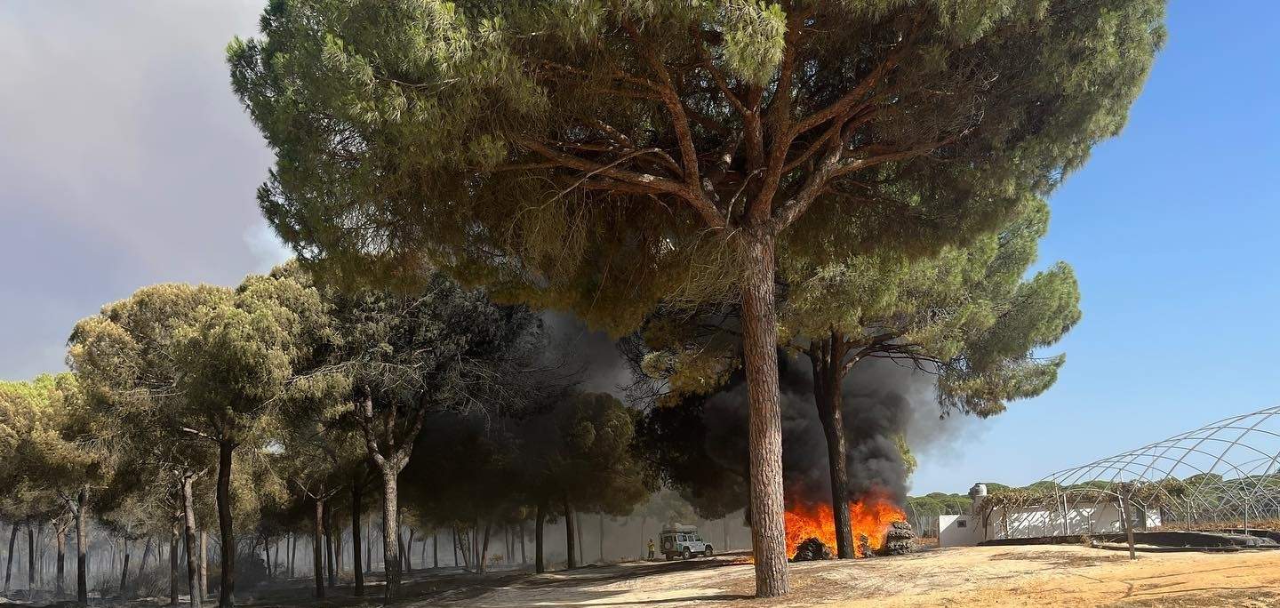 Palés y plásticos amontonados arden en el último incendio que arrasó unas 2.000 hectáreas
