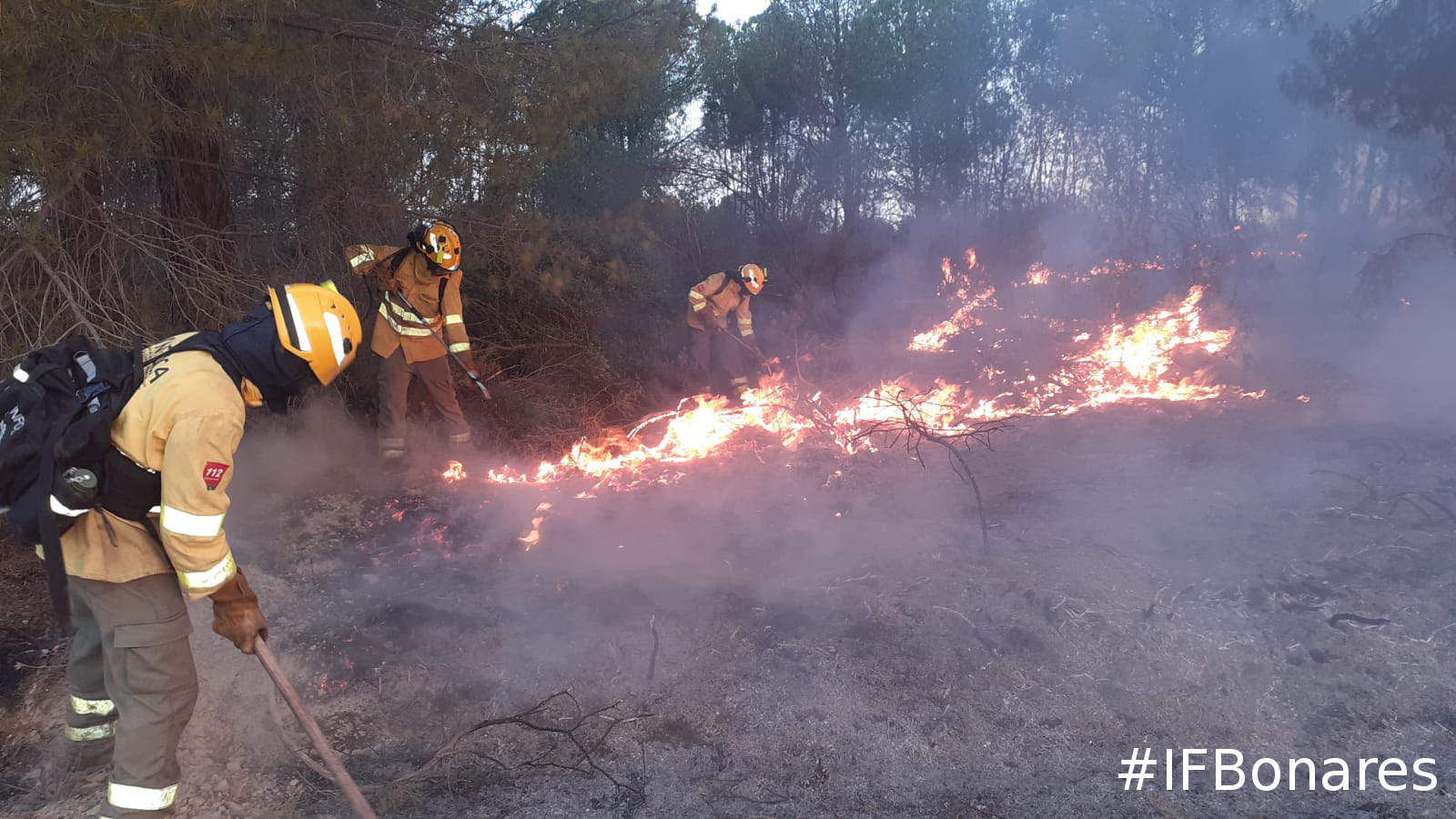 Bomberos forestales luchando contra el fuego en Bonares y Almonte.