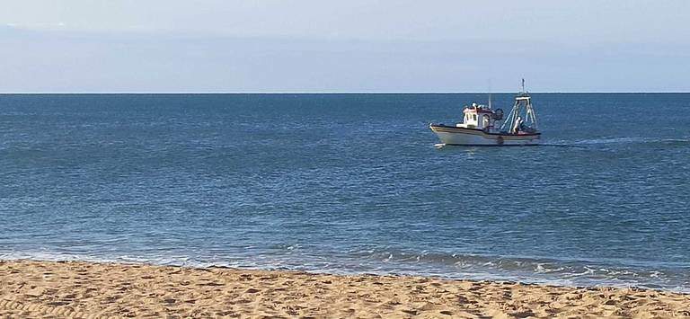 Barco vulnerando la ley al acercarse a menos de 25 metros de la orilla