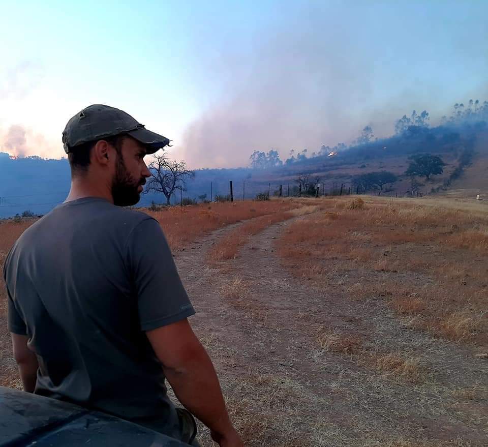 Zona afectada por el fuego.
