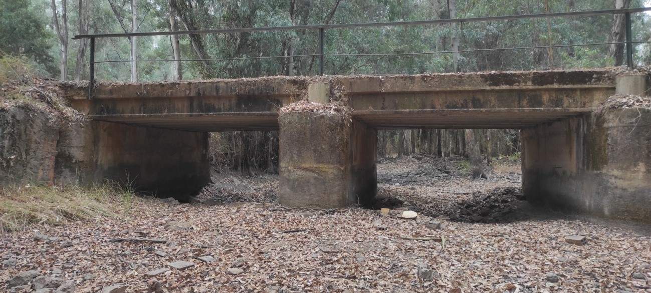 Arroyo de Don Gil, principal afluente del arroyo de La Rocina, el de mayor aporte de agua a la marisma de Doñana. (Bodegones-Almonte).