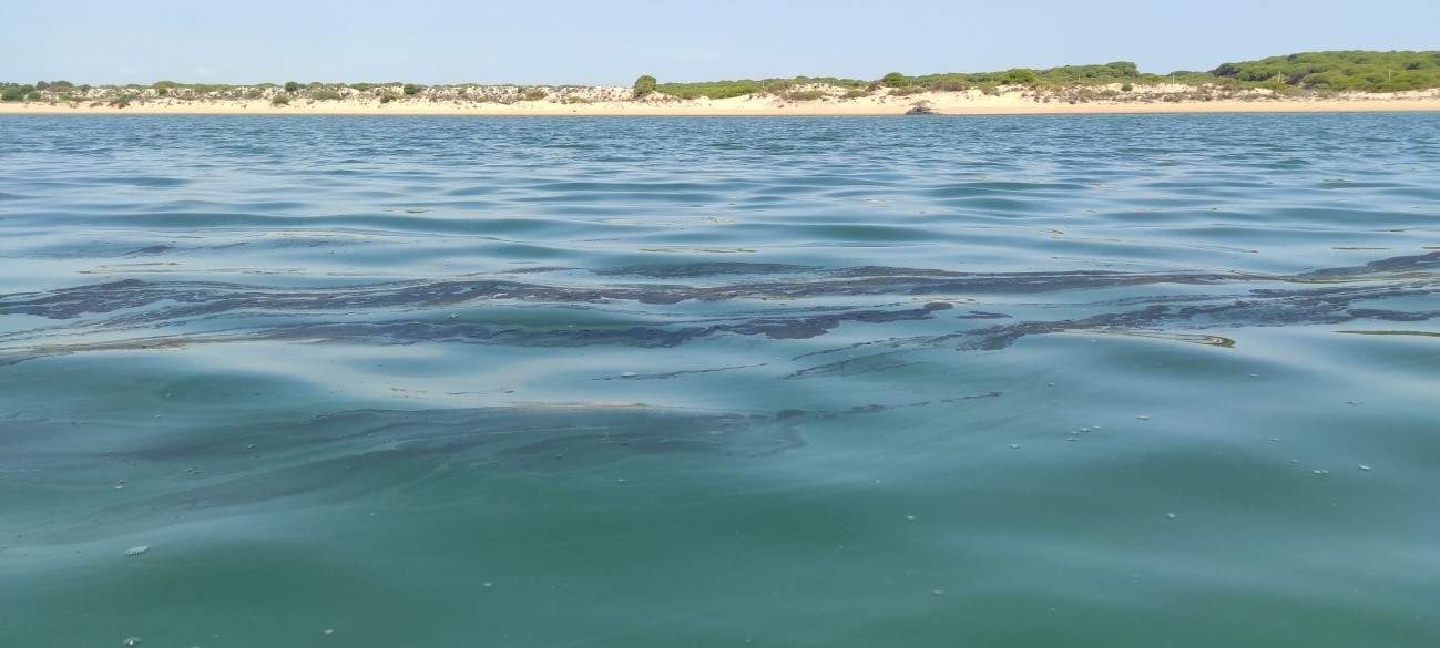 Aceite flotando en la mar.
