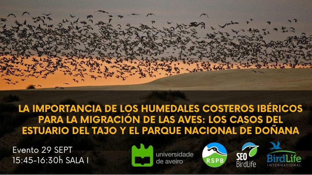 Reunión internacional que analizará la situación de los humedales.