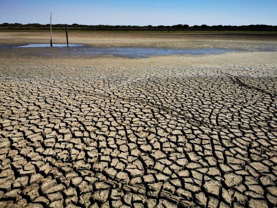 Doñana es un secarral.