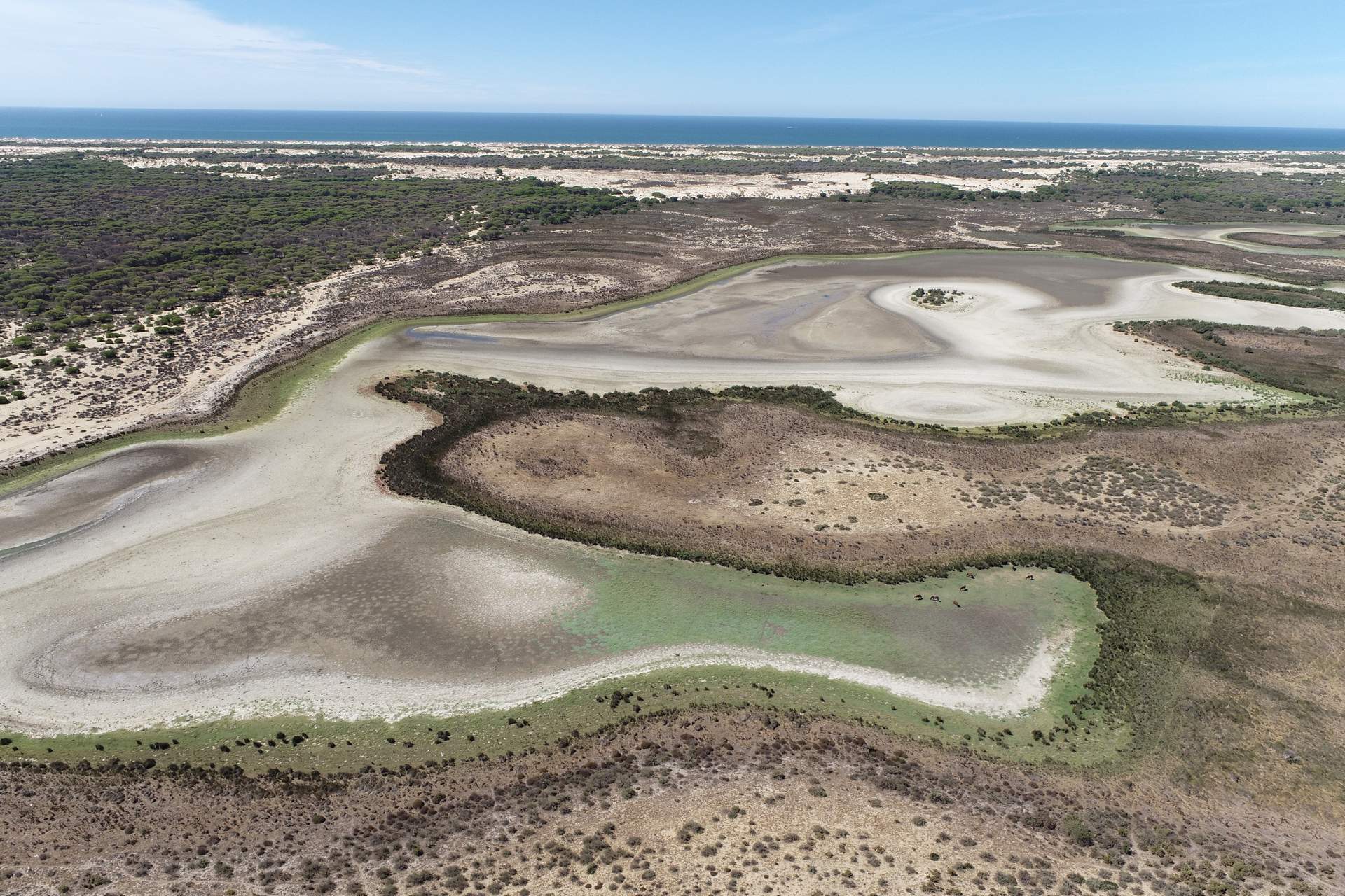 Las decisiones políticas pueden ser la puntilla de la Reserva de la Biosfera.