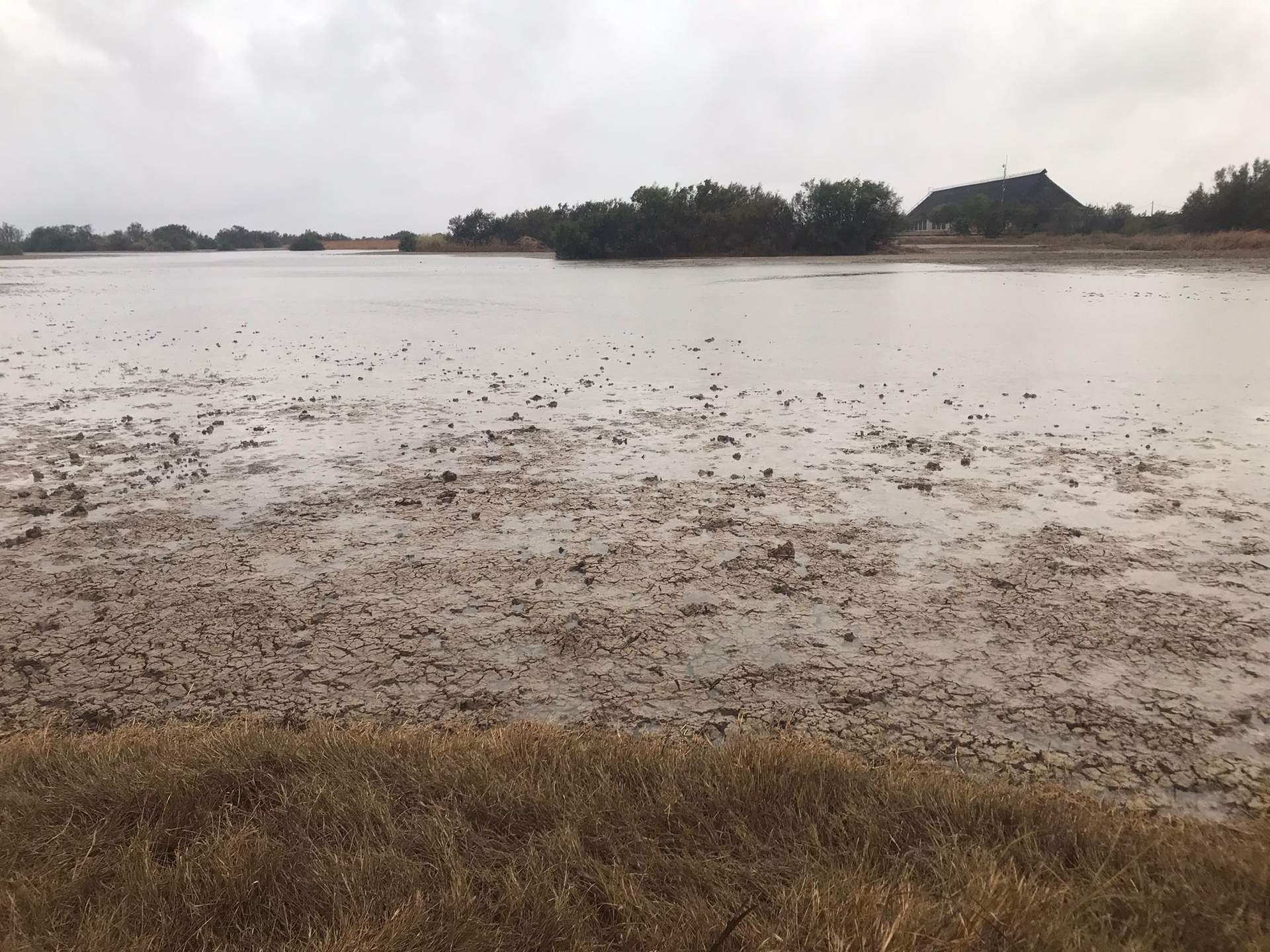 Zona de refugio de avifauna y espacio dinamizador de la Reserva de la Biosfera.